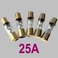 25A Glasrohrsicherung Typ AGU, 5er Set