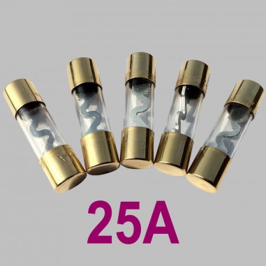 25A Glasrohrsicherung Typ AGU, 5er Set